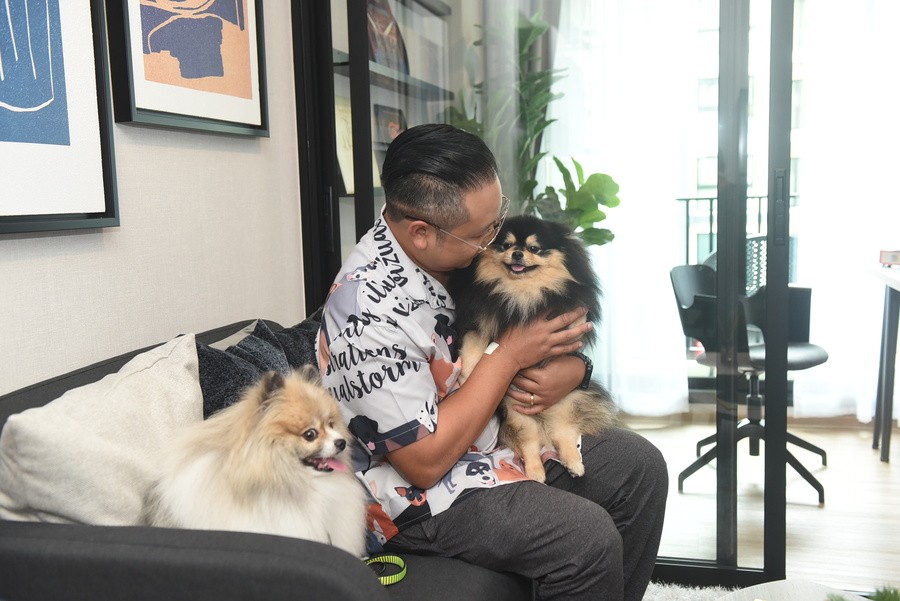 pet friendly condo pet friendly condo