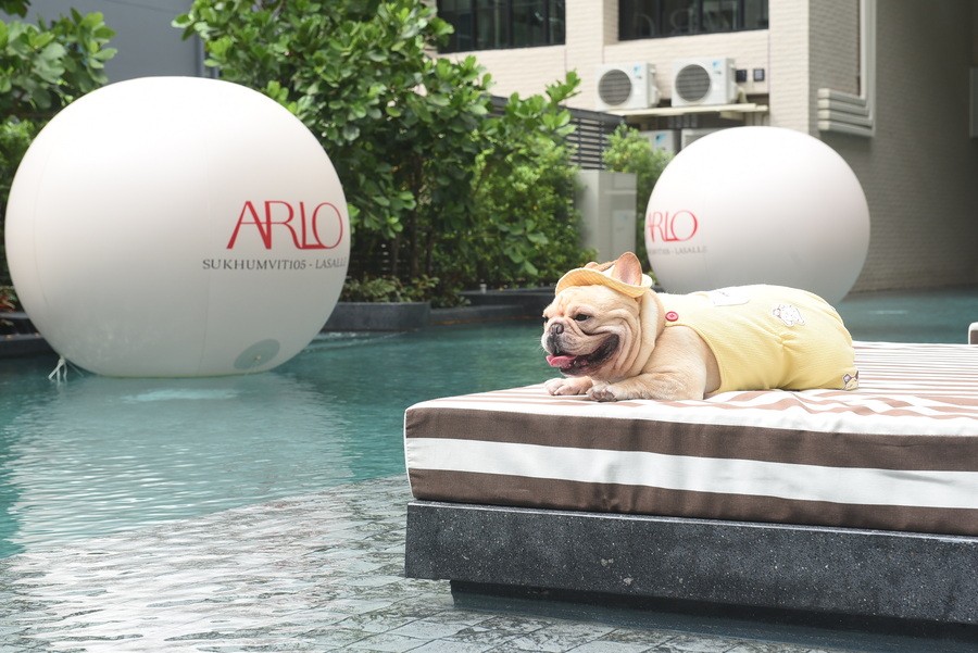 สระว่ายน้ำขนาดใหญ่ที่คอนโด ARLO Sukhumvit 105 – Lasalle คอนโดโซนบางนา สระว่ายน้ำขนาดใหญ่ที่คอนโด ARLO Sukhumvit 105 – Lasalle คอนโดโซนบางนา